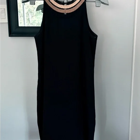 Ann Taylor Black Shift Dress with Metallic Braided Neckline – Size 8P - Picture 3 of 5
